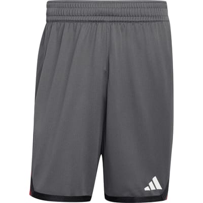 Adidas Dbb Duitsland Training Korte Broek Grijs