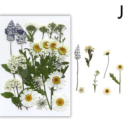 Fleurs Séchées Vraie Plante Naturelle Fleur Pressée Pour Remplissage Résine Époxy DIY Nail Art Artisanat Fabrication de Bijoux