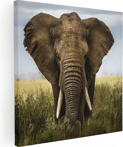 Artaza Canvas Schilderij Olifant - 80x80 cm - Wanddecoratie Dieren - Muurdecoratie Afrika - Schilderijen Op Canvas