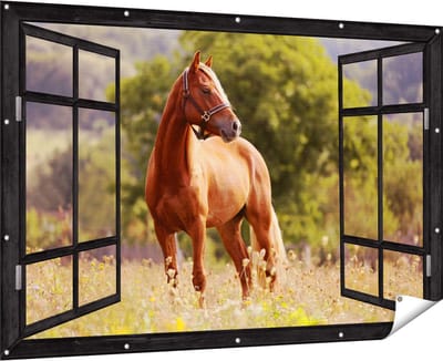 Gards Tuinposter Doorkijk Bruin Paard in de Wei - 180x120 cm - Tuindoek - Tuindecoratie - Wanddecoratie buiten - Tuinschilderij