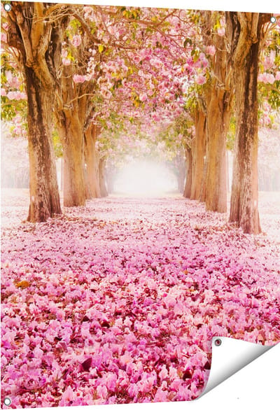 Gards Tuinposter Romantische Bomen Tunnel met Roze Anjers - 80x100 cm - Tuindoek - Tuindecoratie - Wanddecoratie buiten - Tuinschilderij