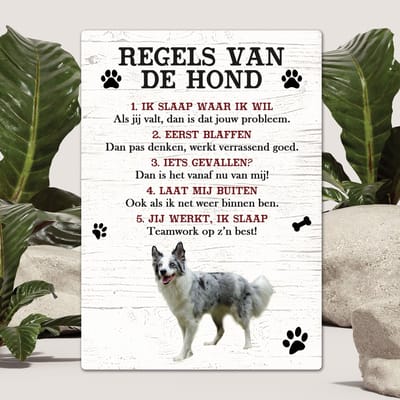 Spreuken - Bordercollie - Regels Van De Hond - Spreuken Bordjes - Spreukenbord - Tekstborden - Cadeau - Hondenras