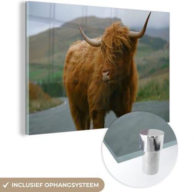 MuchoWow® Glasschilderij 120x80 cm - Schilderij acrylglas - Schotse Hooglander - Berg - Weg - Foto op glas - Schilderijen