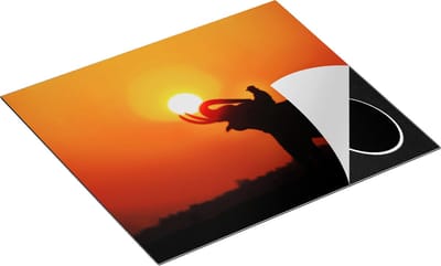Chefcare Inductie Beschermer Silhouet van een Olifant bij Zonsondergang - 60x50 cm - Afdekplaat Inductie - Kookplaat Beschermer - Inductie Mat
