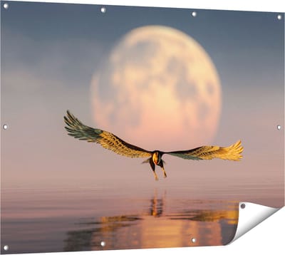 Gards Tuinposter Adelaar boven het Water bij de Maan - 120x90 cm - Tuindoek - Tuindecoratie - Wanddecoratie buiten - Tuinschilderij