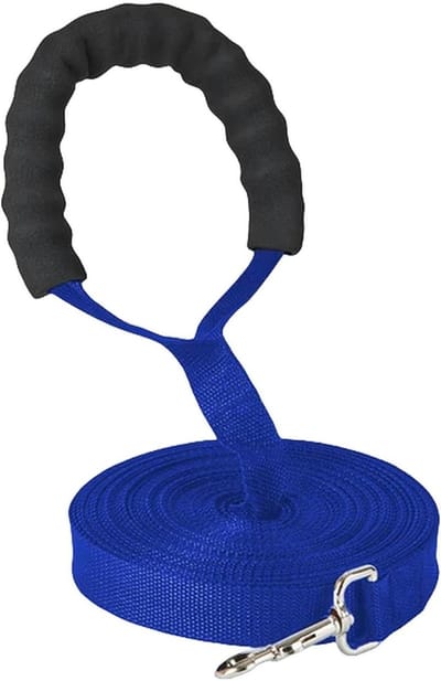 Hondenriem - Huisdier Lijn - Outdoor Training - Comfortabel Handvat - 3 Meter - Blauw