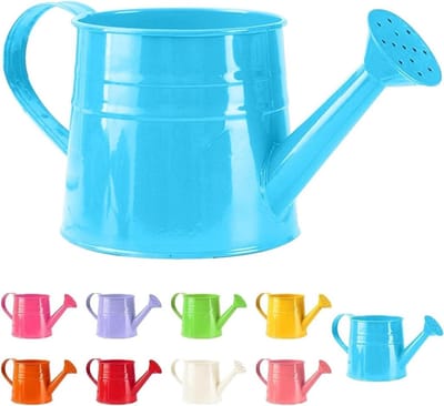 Kleine gieter voor kamerplanten – 1 liter – Compacte gieter – Metalen gieter voor tuin & balkon – Vintage stijl – Tuinaccessoire – Tuinsproeier – Gieter – IJzeren gietemmer - Gieter - 24,5 x 12 x 11,5 cm