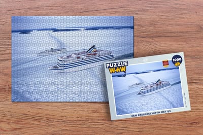 Puzzel Een Cruiseschip in het ijs - Legpuzzel - Puzzel 1000 stukjes volwassenen