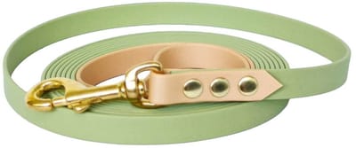 Hondenlijn - BioThane® - Lichtgroen - Beige - 10 meter - 16mm - Middelgrote hond