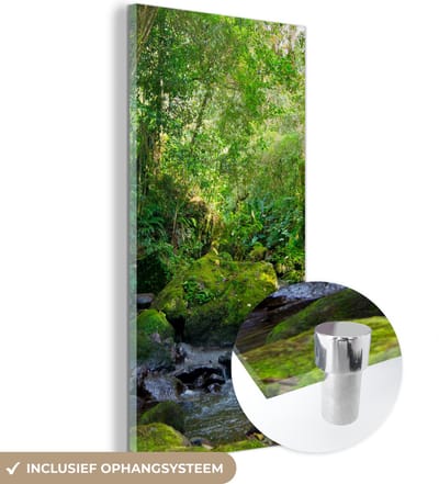 MuchoWow® Glasschilderij 20x40 cm - Schilderij acrylglas - Regenwoudkreek - Foto op glas - Schilderijen