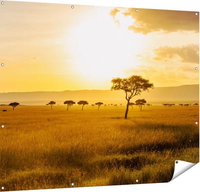 Gards Tuinposter Zonsondergang in de Savanne - 150x120 cm - Tuindoek - Tuindecoratie - Wanddecoratie buiten - Tuinschilderij