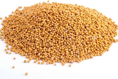 Tuana Kruiden - Mosterdzaad Geel Heel - Bakje 80 Gram - Tuanashop - KP0183