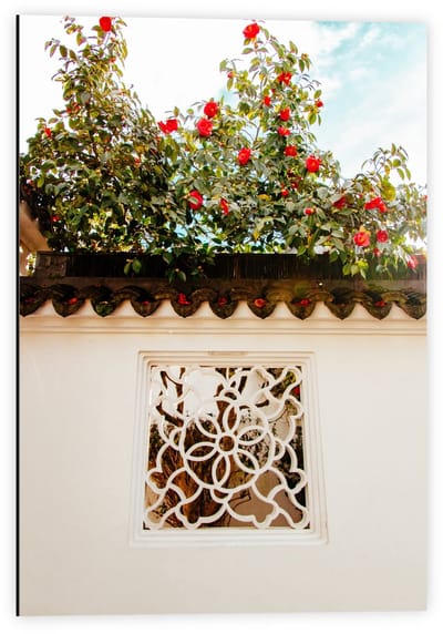 Dibond - Wit Huisje met Rode Bloemetjes - 40x60cm Foto op Aluminium (Met Ophangsysteem)