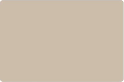 Placemats Set van 4 – Uni Taupe – 30x45 cm – Antislip – Afwasbaar Kunststof – Onderlegger & Tafeldecoratie
