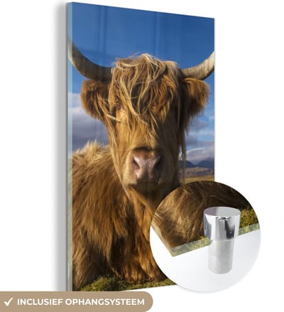 MuchoWow® Glasschilderij 120x180 cm - Schilderij acrylglas - Schotse Hooglander - Dieren - Gras - Foto op glas - Schilderijen