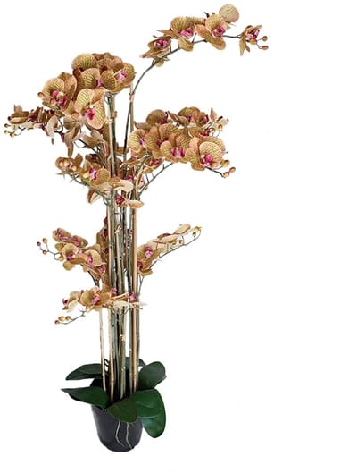 Kunst Phalaenopsis Orchidee In Pot 140 cm - Tiger Yellow