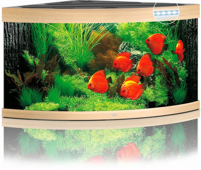 Juwel Aquarium Trigon 350 Led 123x87x65 cm - Aquaria - Licht Hout