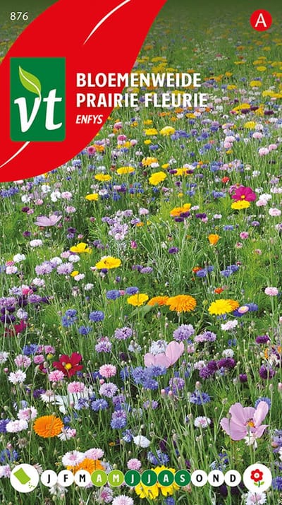 Bloemenweide Enfys - Elke dag nieuwe bloemen, de hele zomer lang