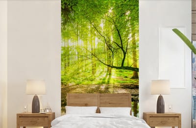 Behang - Fotobehang Bos - Landschap - Water - Bomen - Zon - Groen - Natuur - Breedte 120 cm x hoogte 240 cm