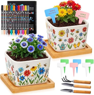 DIY Keramiek Schilderset met 2 Bloempotten, 12 Porseleinen Pennen en Tuinschepjes voor Tuinieren en Decoratie