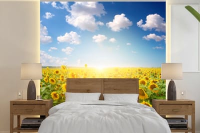 Behang - Fotobehang Zonnebloem - Zon - Wolken - Breedte 240 cm x hoogte 240 cm