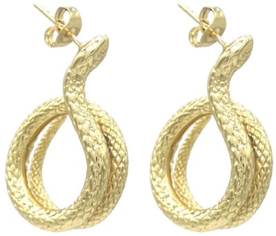 Oorbellen - oorstekers - sieraad - oorsieraad - accessoire - RVS - goudkleurig - slang - natuur - jungle - hip - trendy - tijdloos - chique - cadeau - geschenk - feest - feestdagen - dames - vrouwen