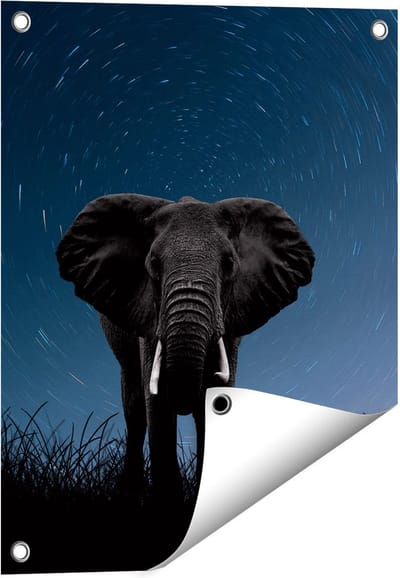 Gards Tuinposter Olifant Omringd met Sterren - 40x50 cm - Tuindoek - Tuindecoratie - Wanddecoratie buiten - Tuinschilderij