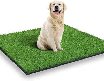 Kunstgras tapijt 80 x 100 cm voor honden - binnen buiten - zindelijkheidstraining terras gazon decoratie