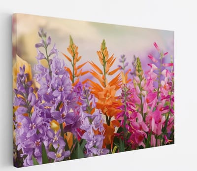 Saammp Canvas Schilderij - Vrolijke bloemencompositie - Kleurrijk - Natuur - Abstract - 45x30 - Foto op canvas - Wanddecoratie - Muurdecoratie Woonkamer - Kantoor Decoratie