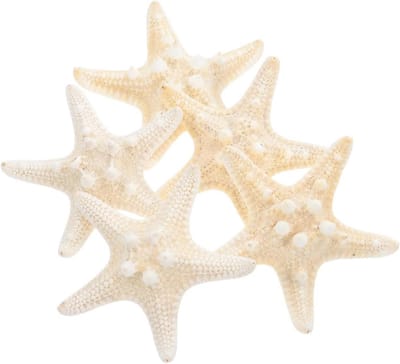 5 Stuks Natuurlijke Sterrenzeester Versieringen voor Aquariums en Badkamers - Nautische Decoraties voor Bruiloften en Strandthema's