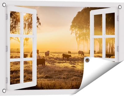 Gards Tuinposter Doorkijk Kudde Koeien in de Wei met Zonsopkomst - 60x40 cm - Tuindoek - Tuindecoratie - Wanddecoratie buiten - Tuinschilderij