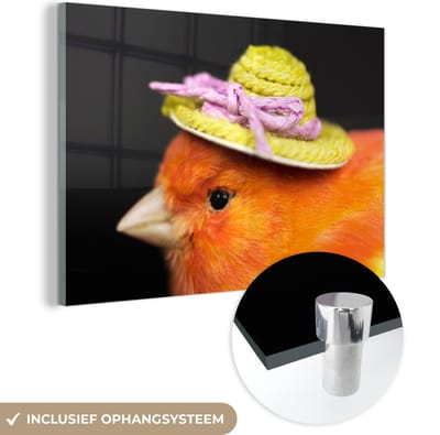 MuchoWow® Glasschilderij 150x100 cm - Schilderij acrylglas - Vogel - Hoed - Oranje - Foto op glas - Schilderijen