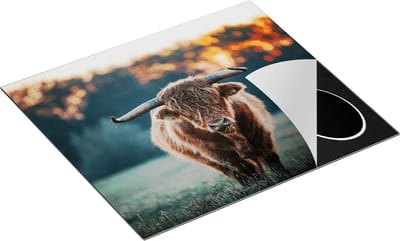 Chefcare Inductie Beschermer Schotse Hooglander in het Veld bij Zonsondergang - 60x50 cm - Afdekplaat Inductie - Kookplaat Beschermer - Inductie Mat