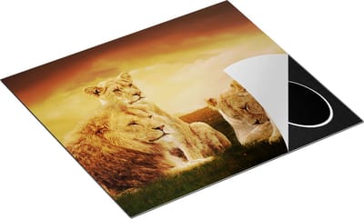 Chefcare Inductie Beschermer Leeuwen Familie in Afrika - Leeuw - 60x50 cm - Afdekplaat Inductie - Kookplaat Beschermer - Inductie Mat