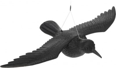 Hangende vogelverschikker raaf 40 cm