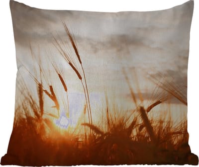 Tuinkussen - Riet - Gras - Zonsondergang - Natuur - Horizon - 40x40 cm - Weerbestendig