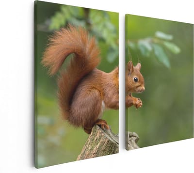 Artaza Canvas Schilderij Tweeluik Eekhoorn op een Boomstam in het Bos - 80x60 - Foto Op Canvas - Canvas Print