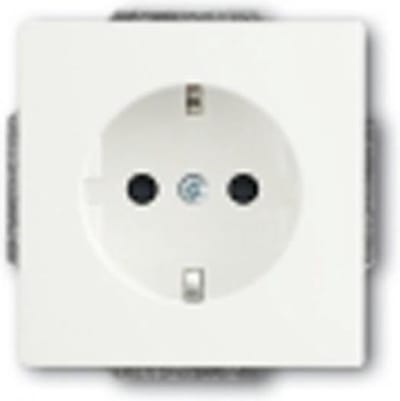 ABB Busch-Jaeger Future Wandcontactdoos (WCD-Schakelmateriaal) - 2CKA002113A5337 - E2Q9S