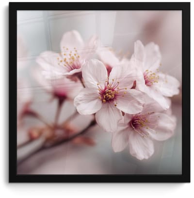 Poster in lijst - Fotolijst 40x40 cm - Posters - Bloesems - Meeldraden - Geel - Wazig - Posterlijst zwart - Decoratie - Wanddecoratie woonkamer - Muurdecoratie slaapkamer