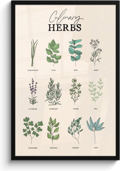 Fotolijst inclusief poster - Posterlijst 60x90 cm - Posters - Kruiden - Planten - Herbs - Groen - Vintage - Foto in lijst - Keuken decoratie muur - Wanddecoratie accessoires - Muurdecoratie - Schilderijen