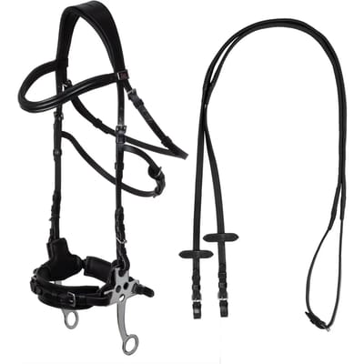 Combinatie hoofdstel met neusriem voor paard Supreme Hackamore