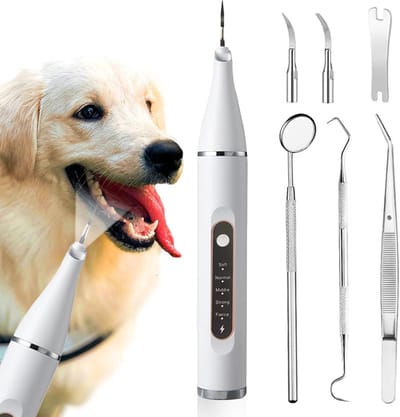Tandplakverwijderaar voor honden, Tandenpoetsset voor huisdieren, Tandreiniger met 5 standen, Hulpmiddelen voor het verwijderen van tandplak en tandsteen, Veilig voor hond en kat, Wit