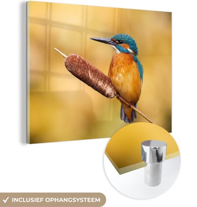 MuchoWow® Glasschilderij 40x30 cm - Schilderij acrylglas - IJsvogel - Natuur - Vogel - Foto op glas - Schilderijen