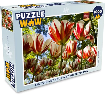 Puzzel Een tuin met rood met witte tulpen - Legpuzzel - Puzzel 1000 stukjes volwassenen