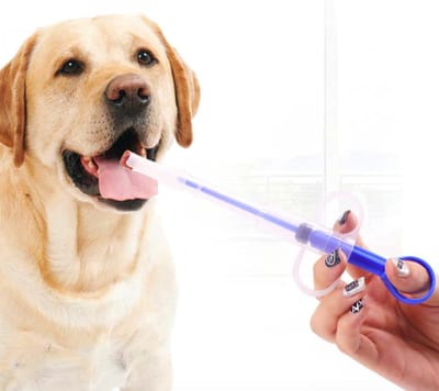 Hiden | Dieren Voedingsspuit - Huisdieren - Honden voeding - Katten voeding - Pet Feeder - Hulpmiddel
