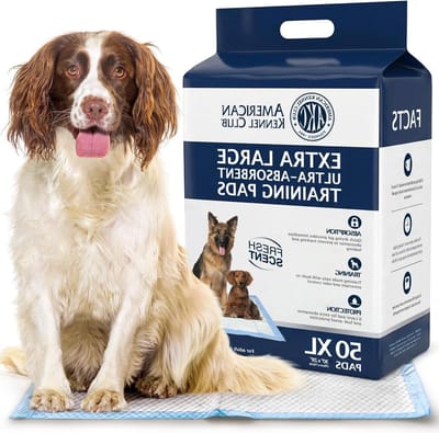 Trainingspads - Zindelijkheidsmatten Puppy - Honden Zindelijk Maken - Snel Absorberend - 76 x 65 cm - Regelmatig