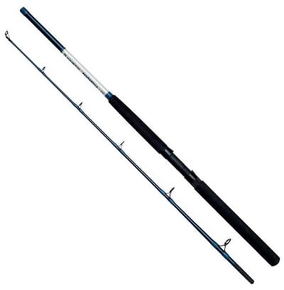 Kinetic Fantastica Cc P8 Bodemvissen Hengel Zwart 1.83 m / 100-400 g