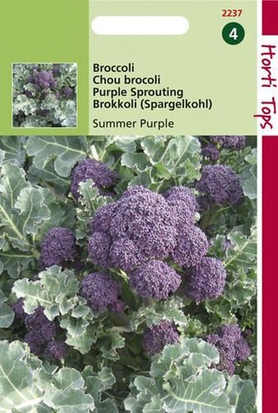 Hortitops Zaden - Broccoli Summer Purple