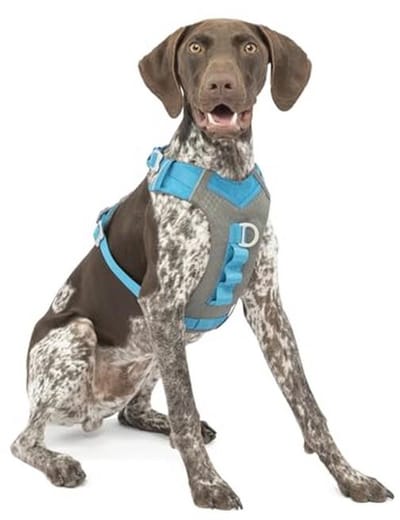 Hondenharnas voor Actieve Honden - Comfortabel Wandelharnas voor Joggen, Reflecterend en Ademend