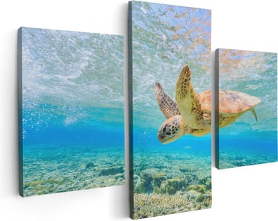 Artaza Canvas Schilderij Drieluik Schildpad Zwemt in de Zee bij het Rif - 90x60 - Foto Op Canvas - Canvas Print